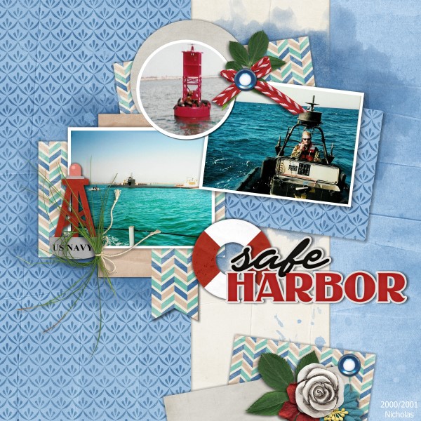 Safe Harbor