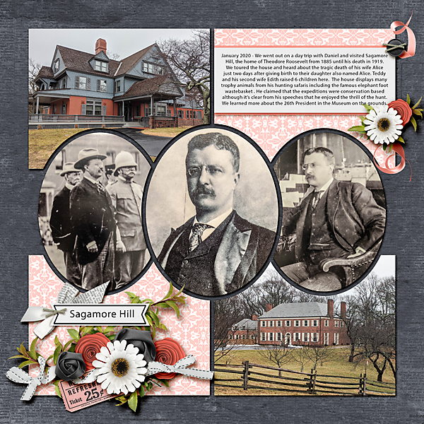 Sagamore hill