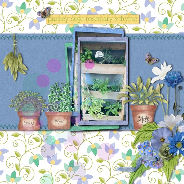 Sage and Thyme