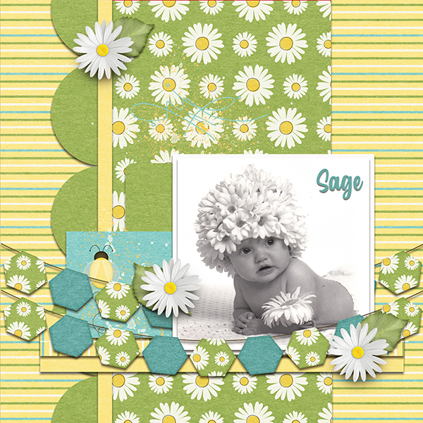 Sage