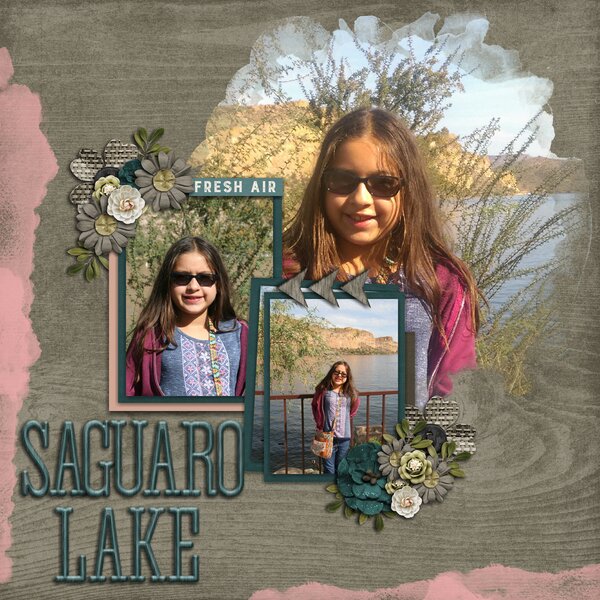 Saguaro Lake