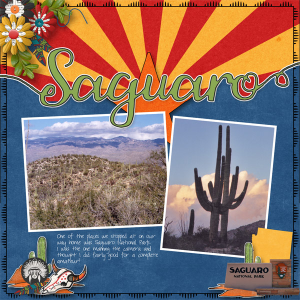 Saguaro National Park