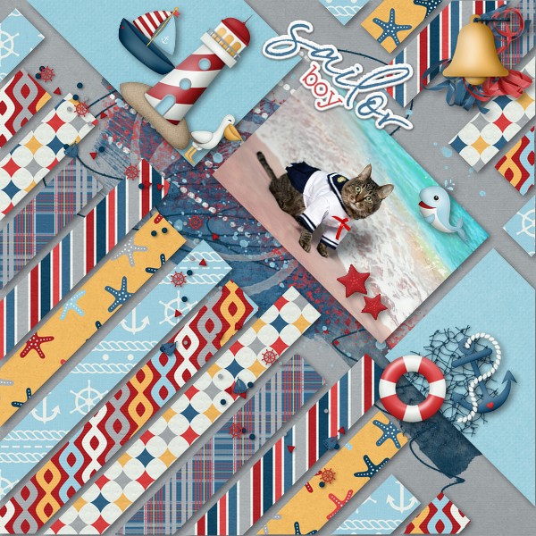 Sailor Boy