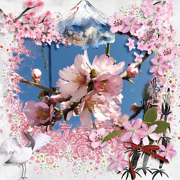 Sakura