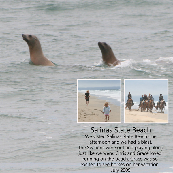 Salinas State Beach