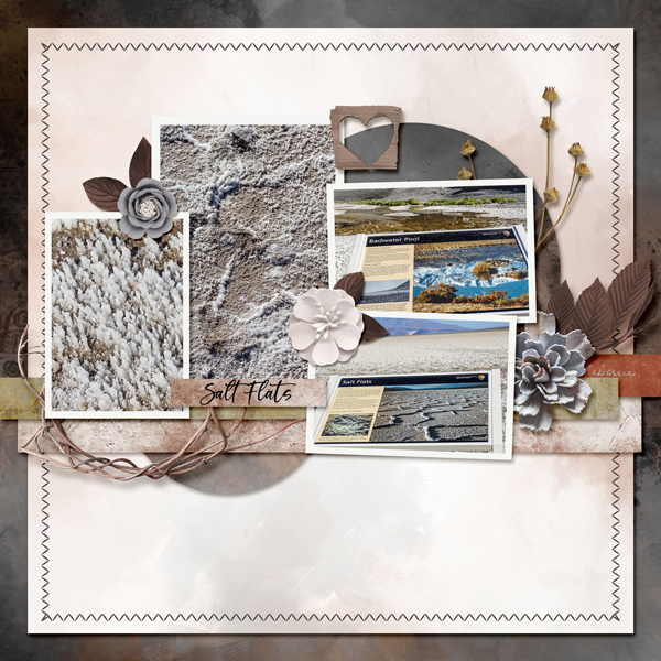 Salt Flats