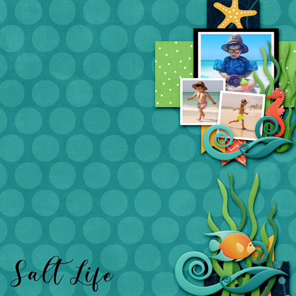 Salt Life