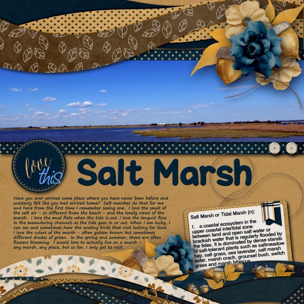 Salt Marsh