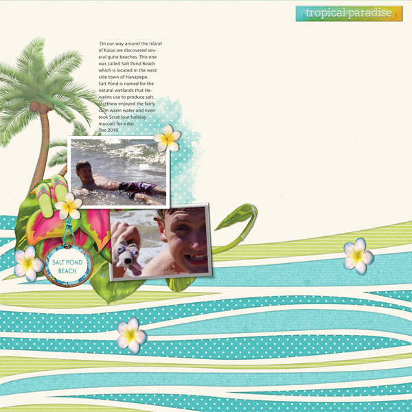 SALT POND BEACH