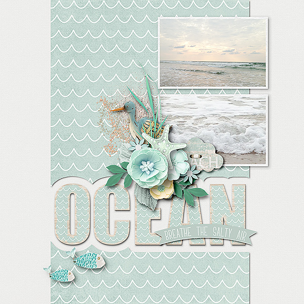 Salty Air