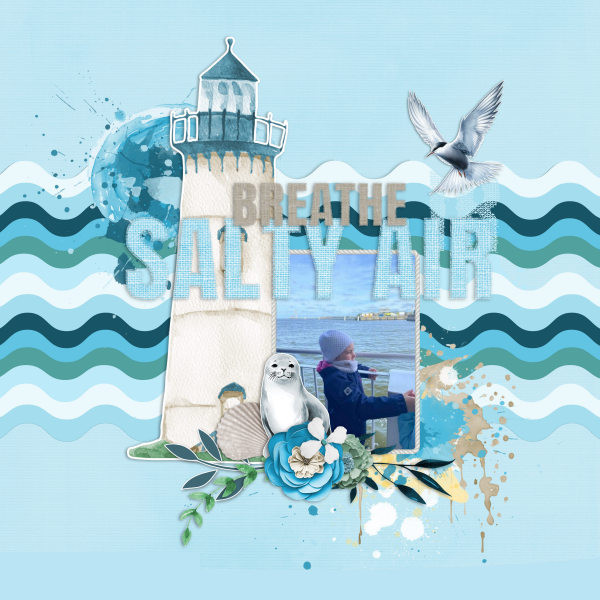 salty_air_600-600