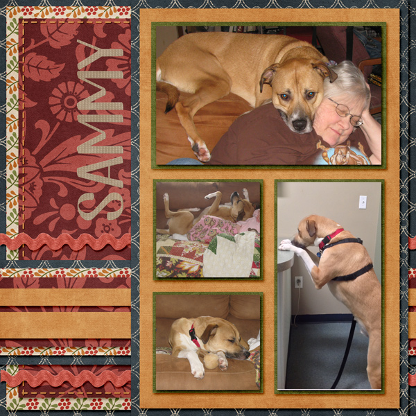 Sammy (For LissyKay)