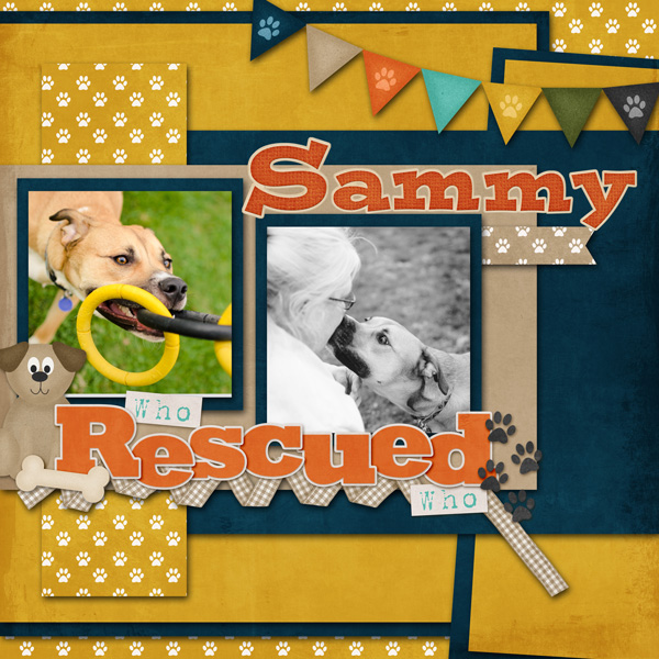 Sammy