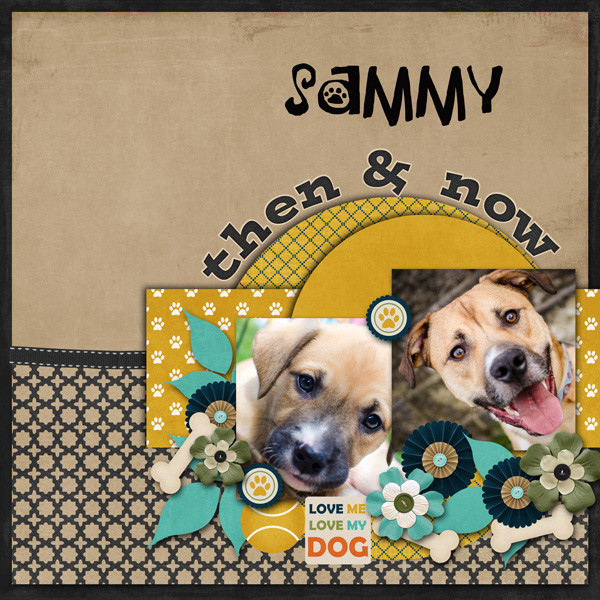Sammy