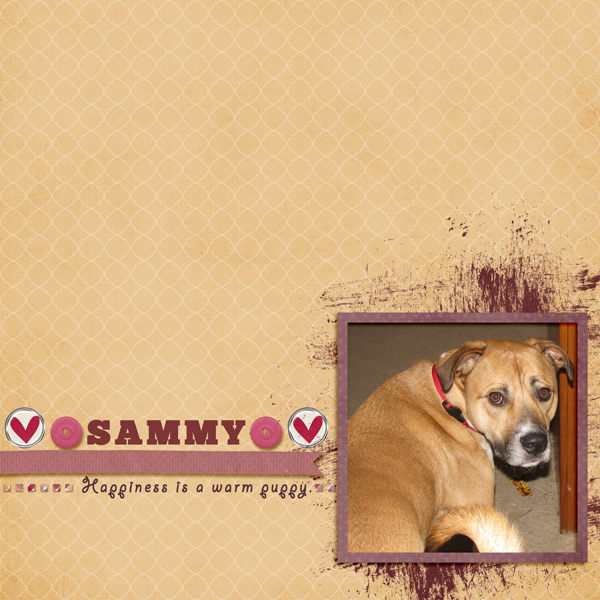 Sammy