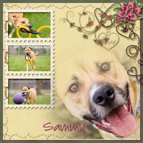 Sammy