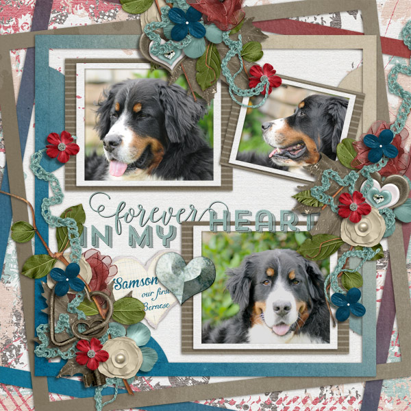 Samson - forever in my heart