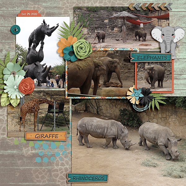 San Antonio Zoo 2020 - Giraffe, Rhinos, and Elephants
