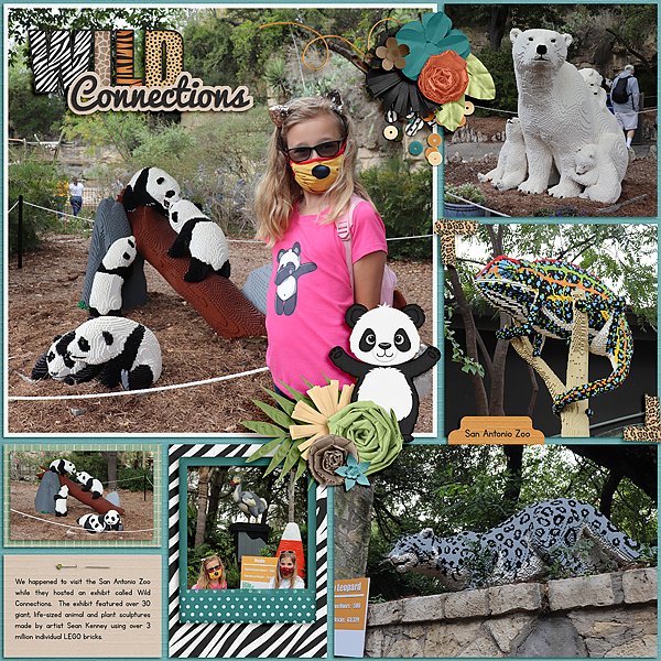 San Antonio Zoo 2020 - Wild Connections