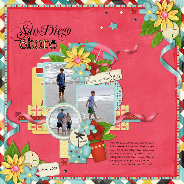 San Diego Shore