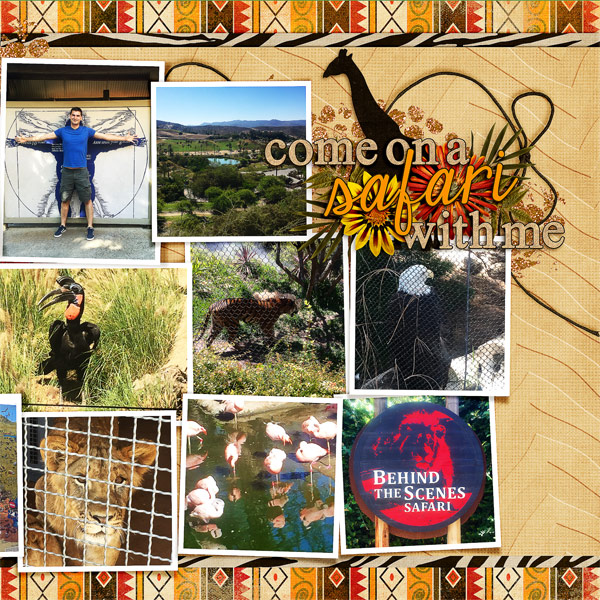 San Diego Zoo Safari