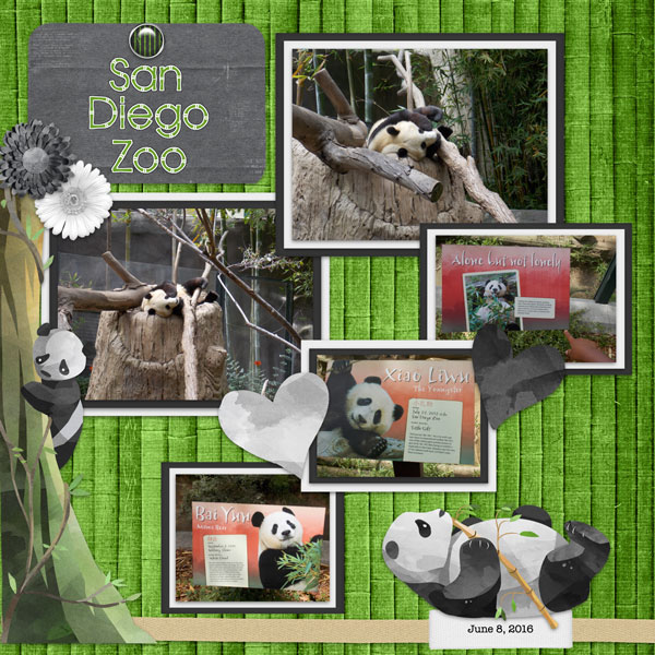 San Diego Zoo