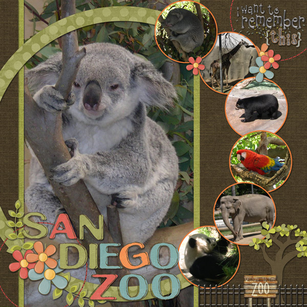 San-Diego-Zoo5WEB