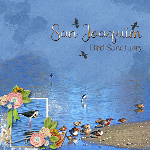 San Joaquim