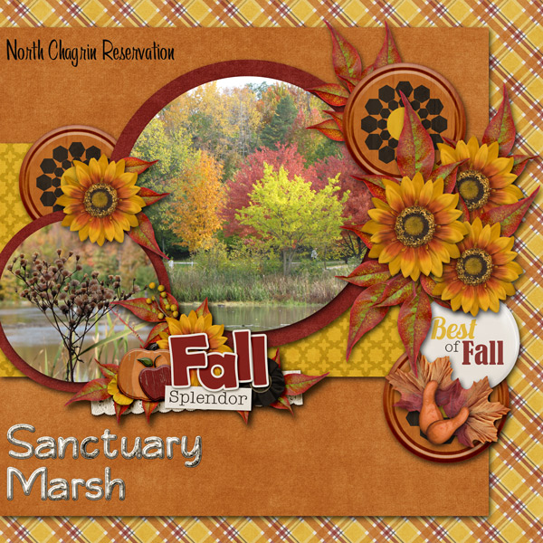Sanctuary Marsh