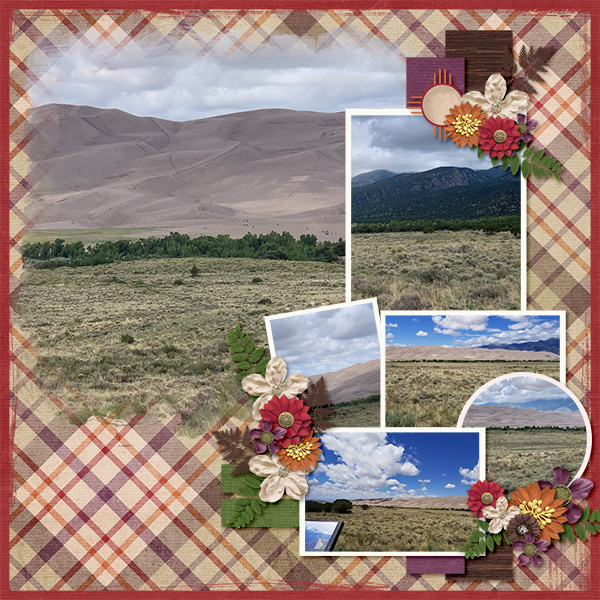 Sand Dunes National Park Scenery