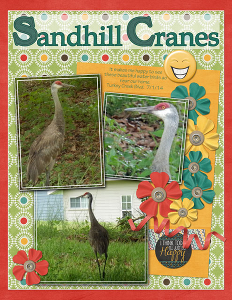 Sandhill Cranes
