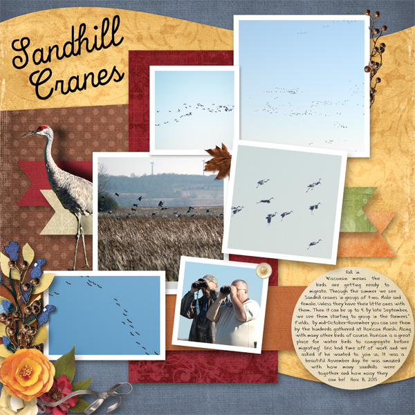 Sandhill Cranes