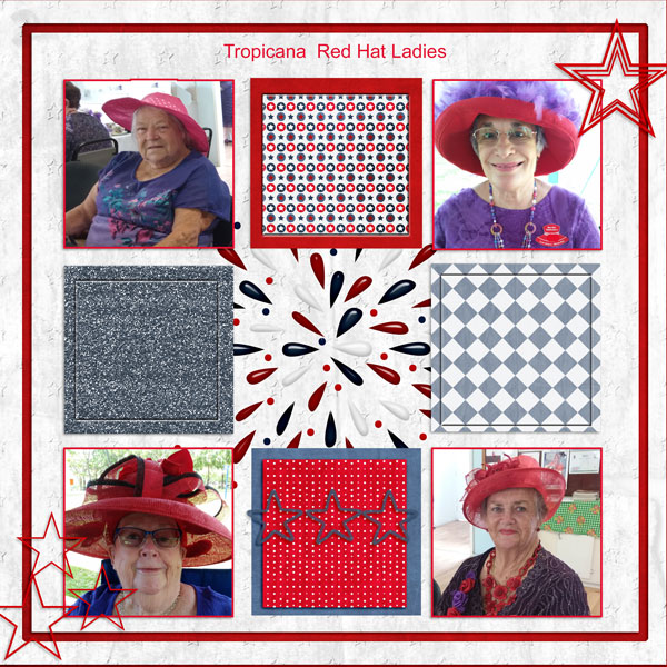 sandie03-DD-Red white blue1