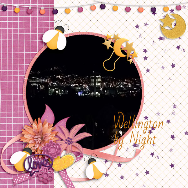sandie03-Fireflies summer nights