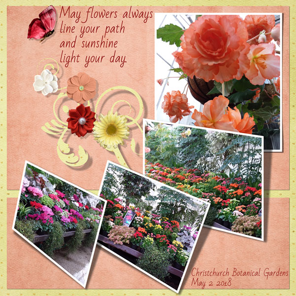 sandie03-FollowyourHeart Mayflowers