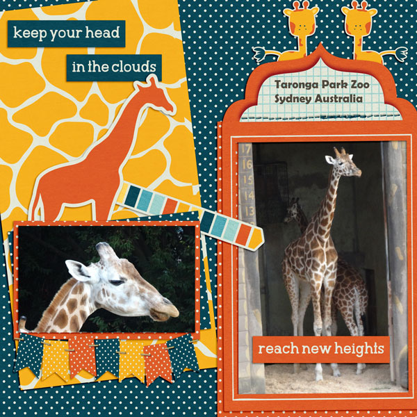 sandie03-JE-RNH-giraffe 1