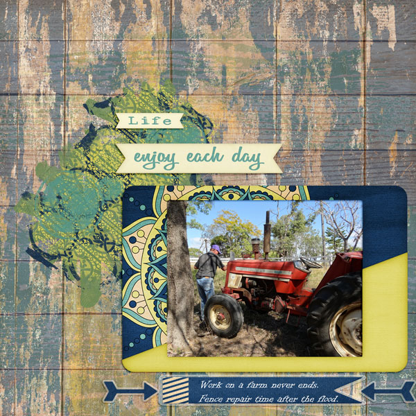 sandie03-Lovely Life Tractor