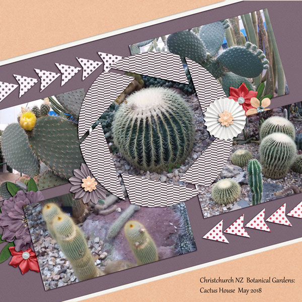 sandie03-MLS-OhSnap Cacti