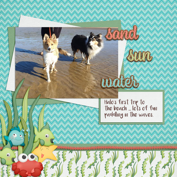 sandie03 SCD Surfs Up