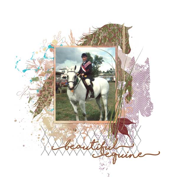 sandie03_noble steed 2