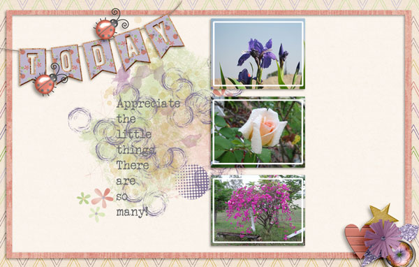 sandie03_TK Ladybug 1