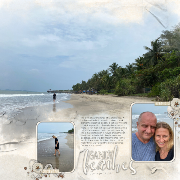 Sandy Beaches