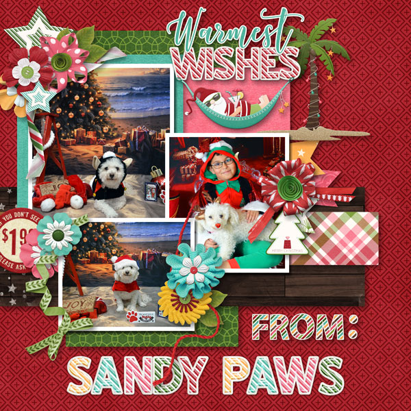 Sandy Paws