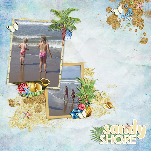 sandy shore