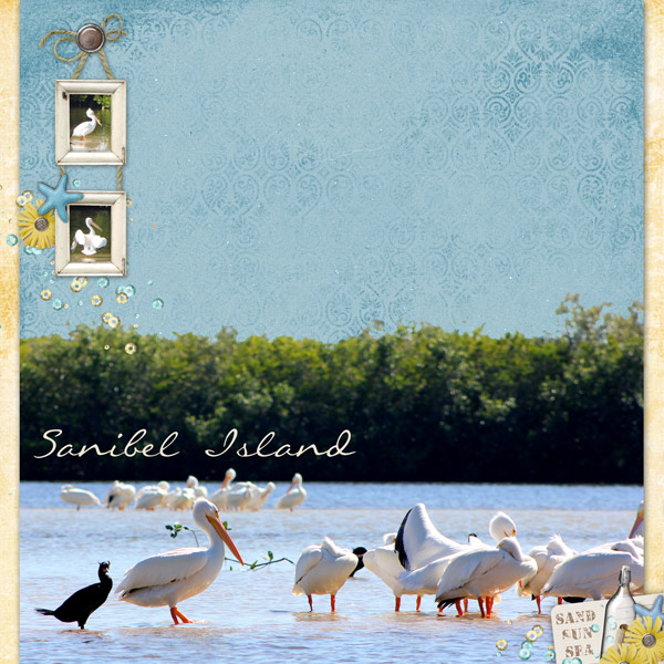 Sanibel Island p1