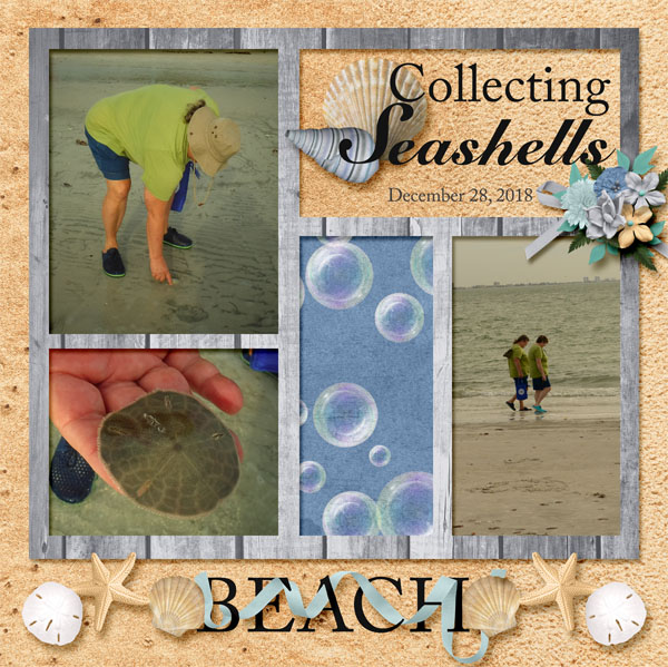Sanibel_Island_L