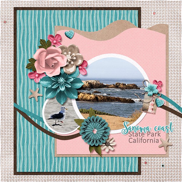 Sanoma Coast