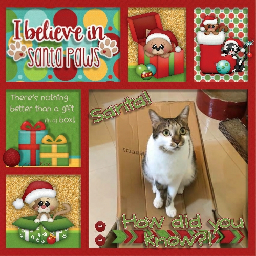 Santa Claws