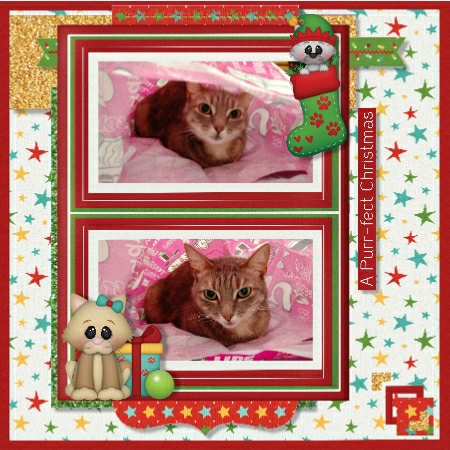 Santa Claws