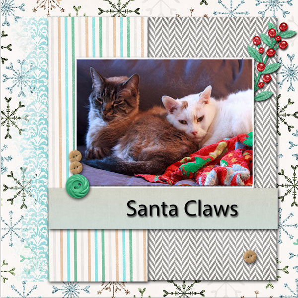 Santa Claws